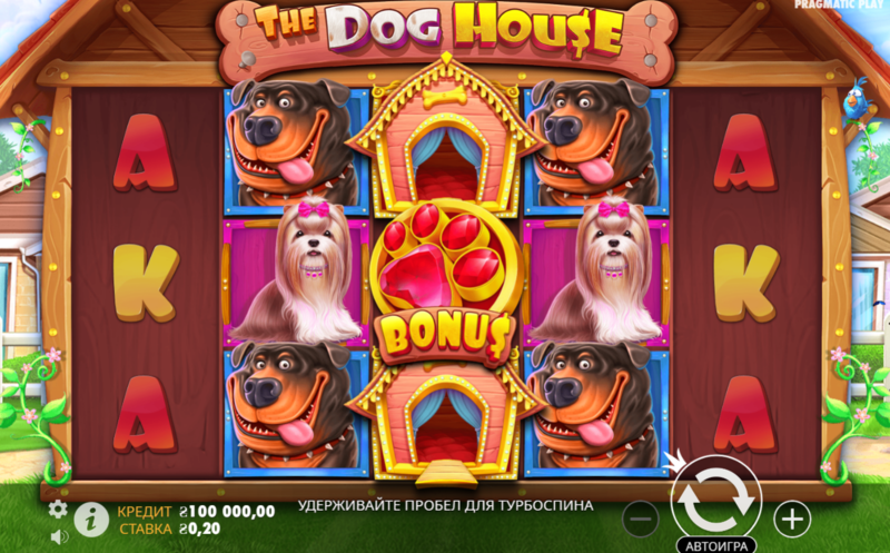 The Dog House